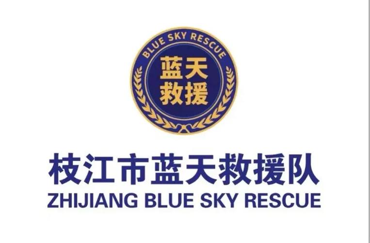怎么加入救援队