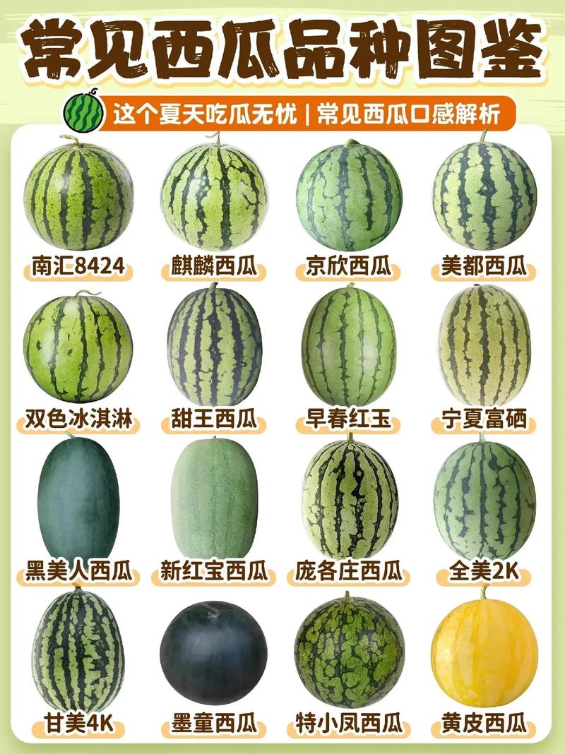 西瓜老旧版本大全5.2.0缩略图