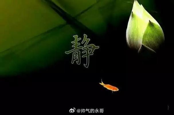 怎样关闭每日资讯推送
