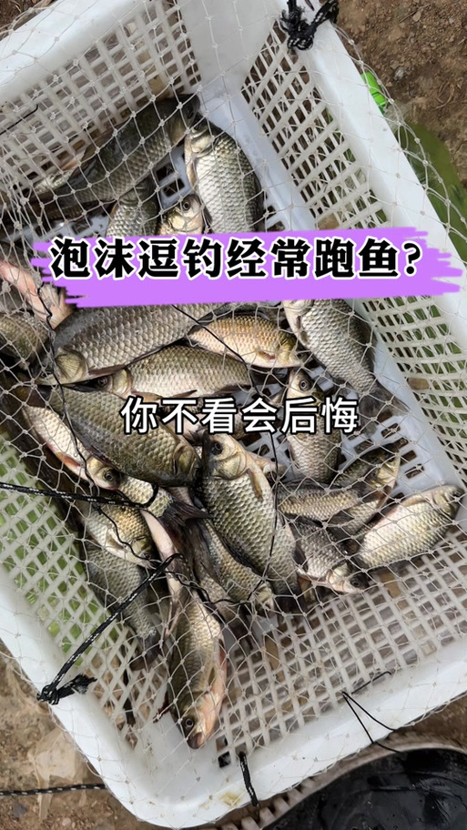 泡沫钓鲫鱼视频教程