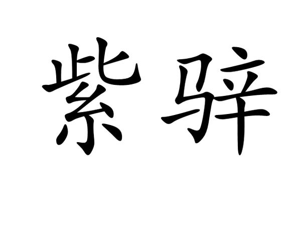 紫骍是谁的马