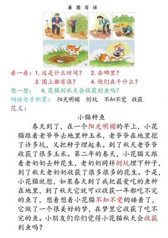 小猫种鱼内容