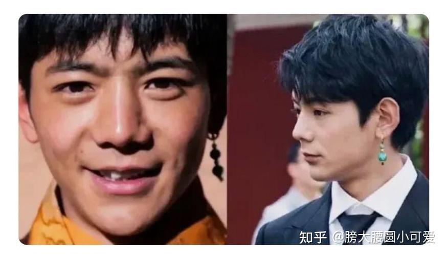 丁真颜值什么水平