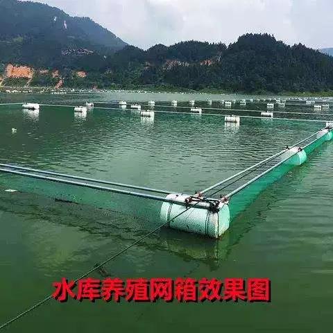 鱼塘网站