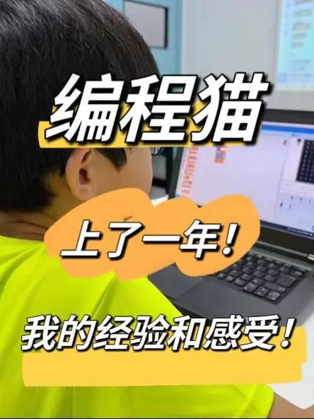 编程猫是正规的吗