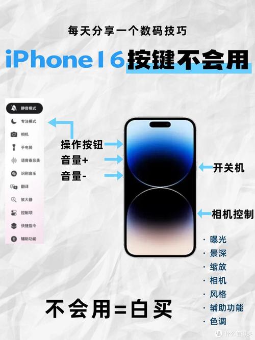 苹果手机图片共享功能在哪里设置