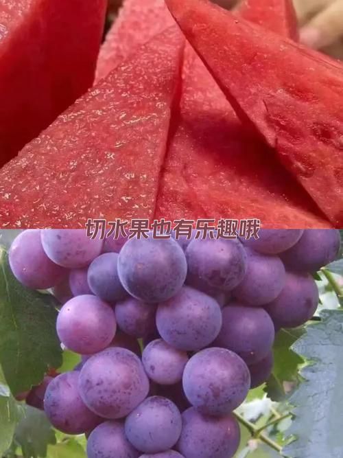 紫色红包什么鬼