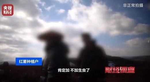 平台约是不是都是假的