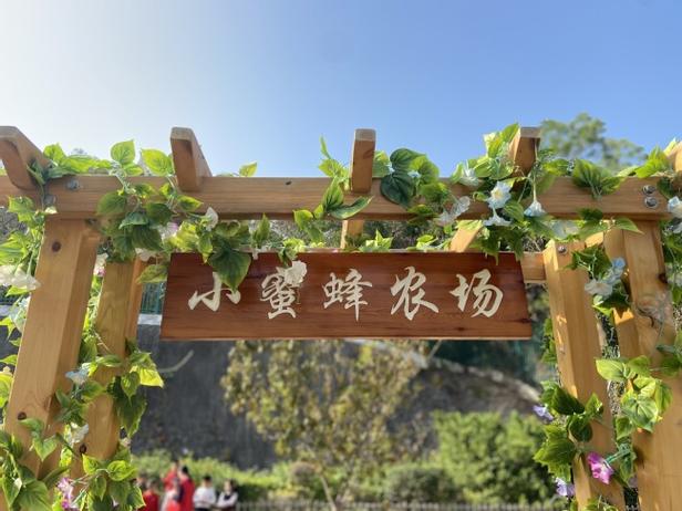 蜜蜂农场的种子收集