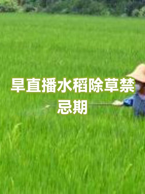 直播最忌三个时间段