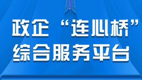政企平台公司