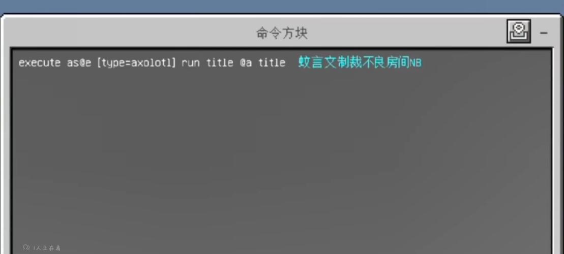 制裁盒子的指令无权限