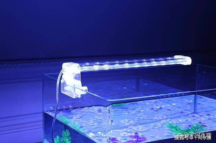鱼缸的灯要24小时开着吗
