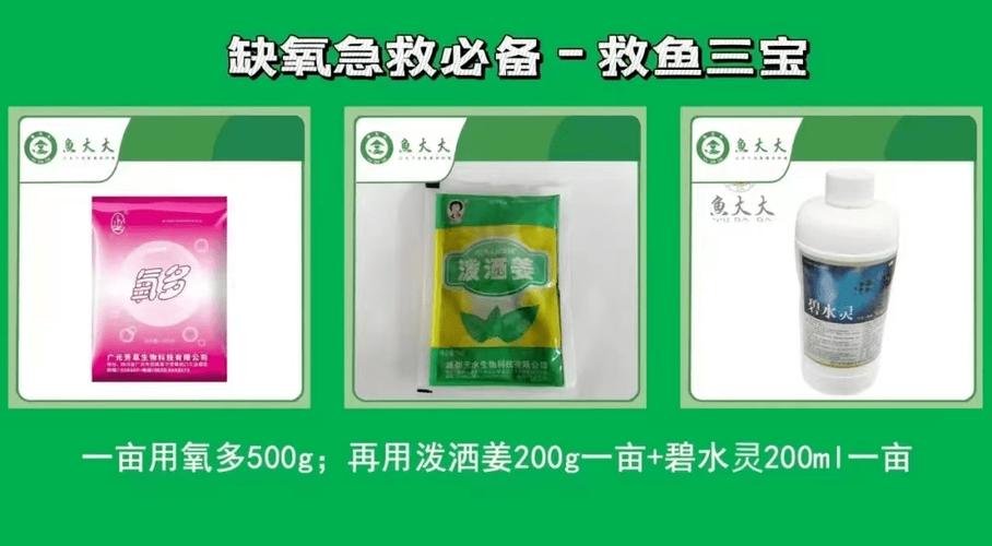 鱼缺氧怎么办缩略图