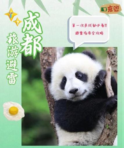 熊猫共享汽车怎么收费