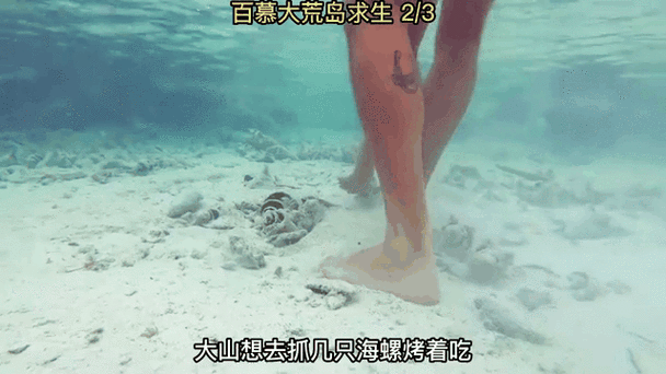 荒岛求生种子最大的岛