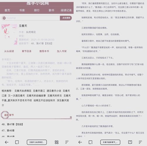 苏雨菲老赵的小说叫什么