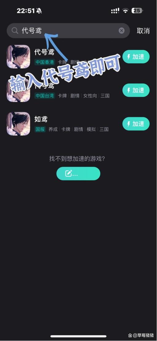 代号鸢安装包
