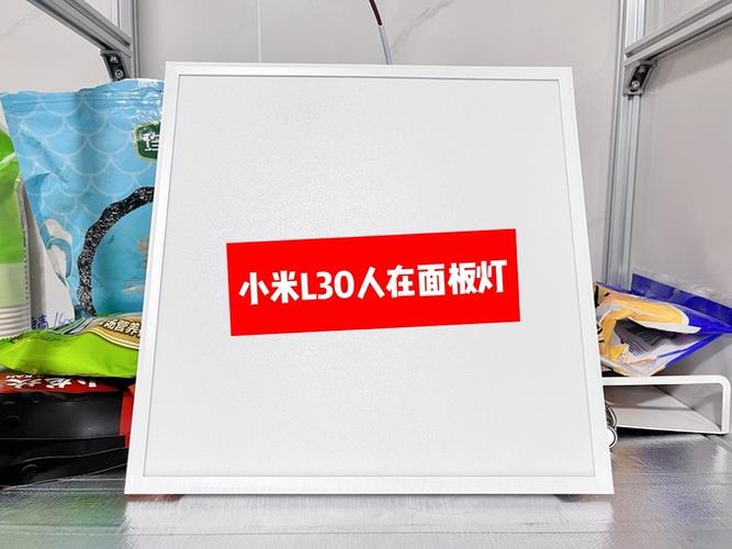 怎么用米家控制灯