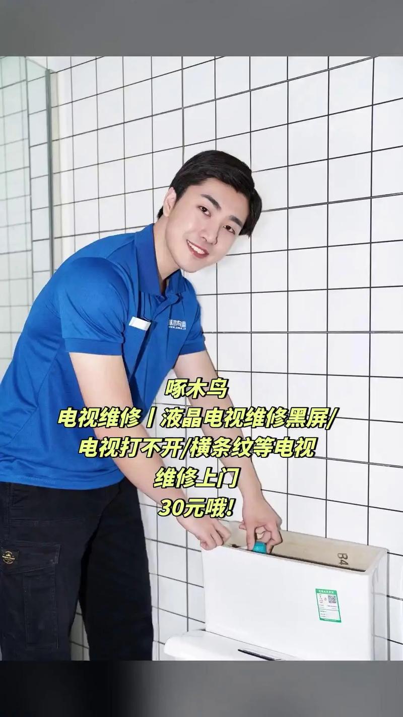 电视维修啄木鸟