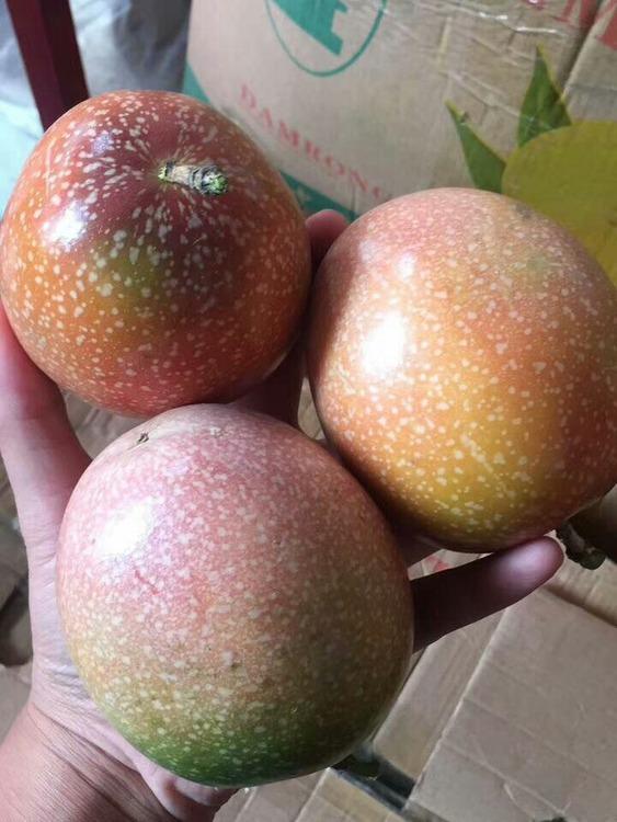 百香果好吃吗?