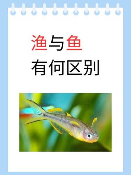 渔外有鱼