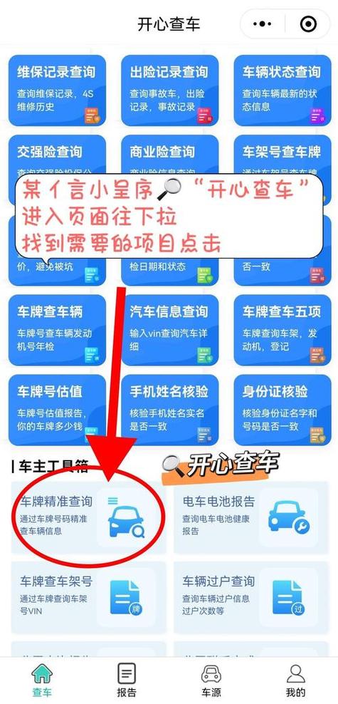 一键查车主