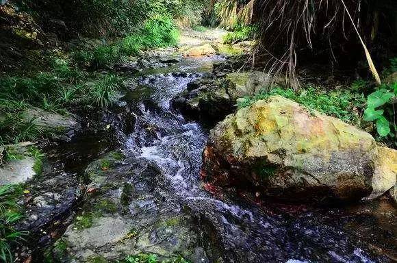 香蜜所有取景地