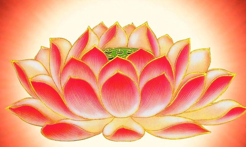 荷花为什么不叫莲花