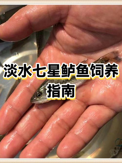 新鱼种解锁方法分享
