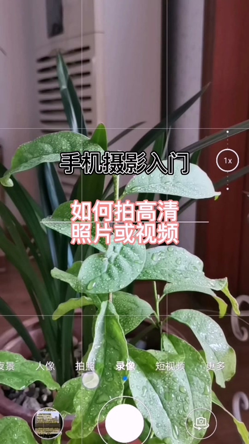 华为手机如何聚焦拍照