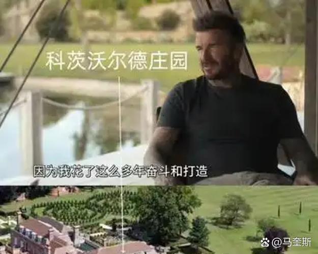 富豪庄园一天能赚多少钱