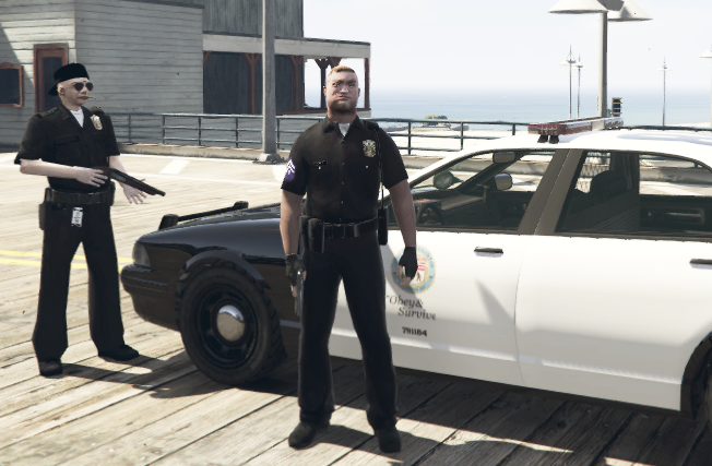 gta5警察mod按e不能进缩略图