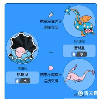 樱花鱼怎么进化