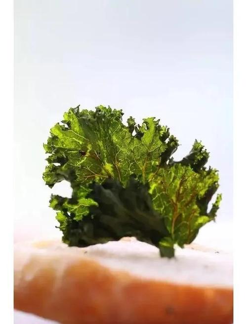 羽衣甘蓝的最佳吃法视频