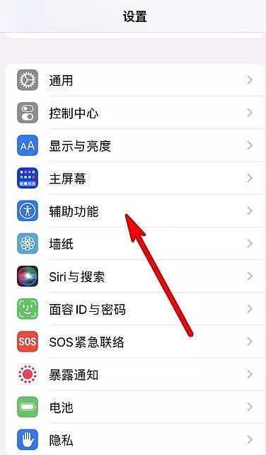 苹果桌面下滑搜索怎么取消图标