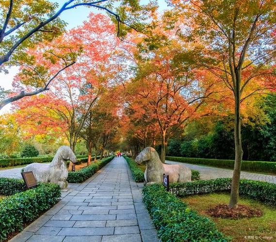 南京旅游必去十大景点推荐缩略图