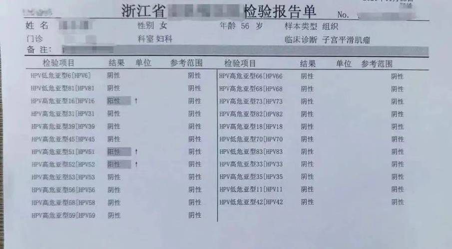 查hpv挂什么科