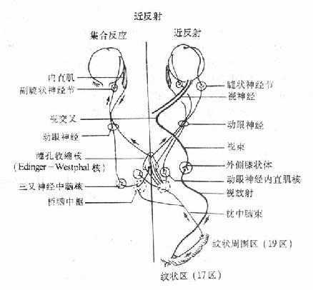 苹果手机靠近传输数据
