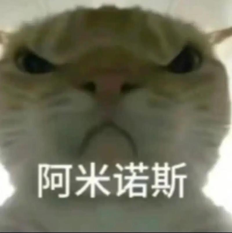 emioy表情