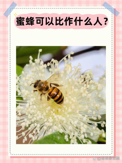 蜜蜂勤劳是为了什么