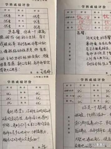 高中生综合素质评价自我陈述300字图标