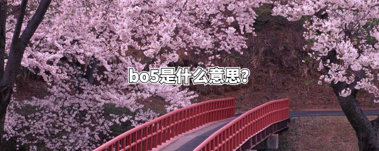 bo5是什么意思