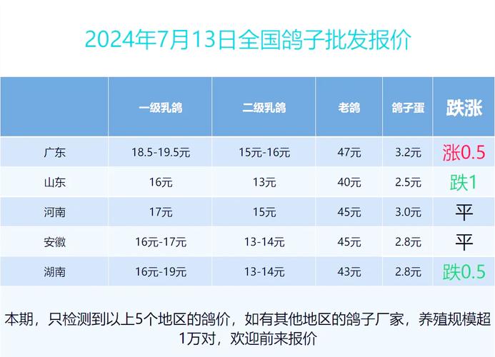 鸽子多少钱一对