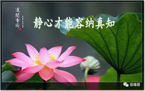 养心最高境界八个字