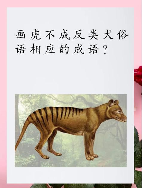 老虎为什么不是反犬旁