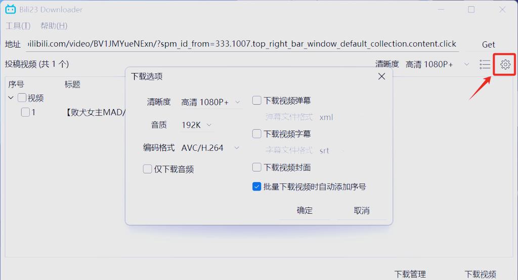 downloader视频地址
