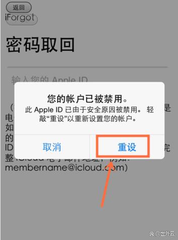 软件被禁用的原因