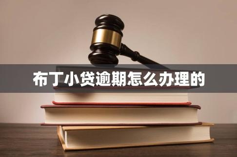 布丁小贷查征信吗