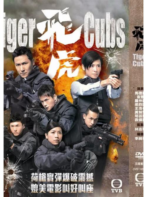 飞虎1 港剧 国语